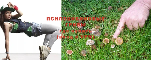 mdpv Нея