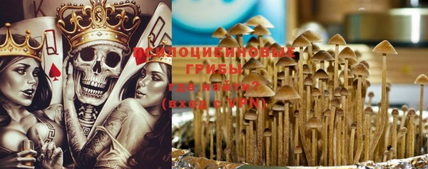 трава Беслан
