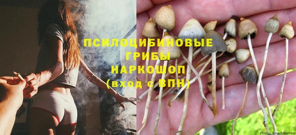 винт Надым