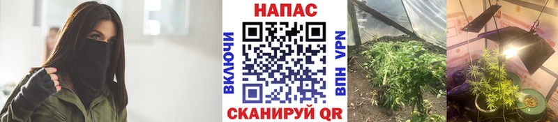 Купить закладки  Куйбышев  Канабис марихуана 